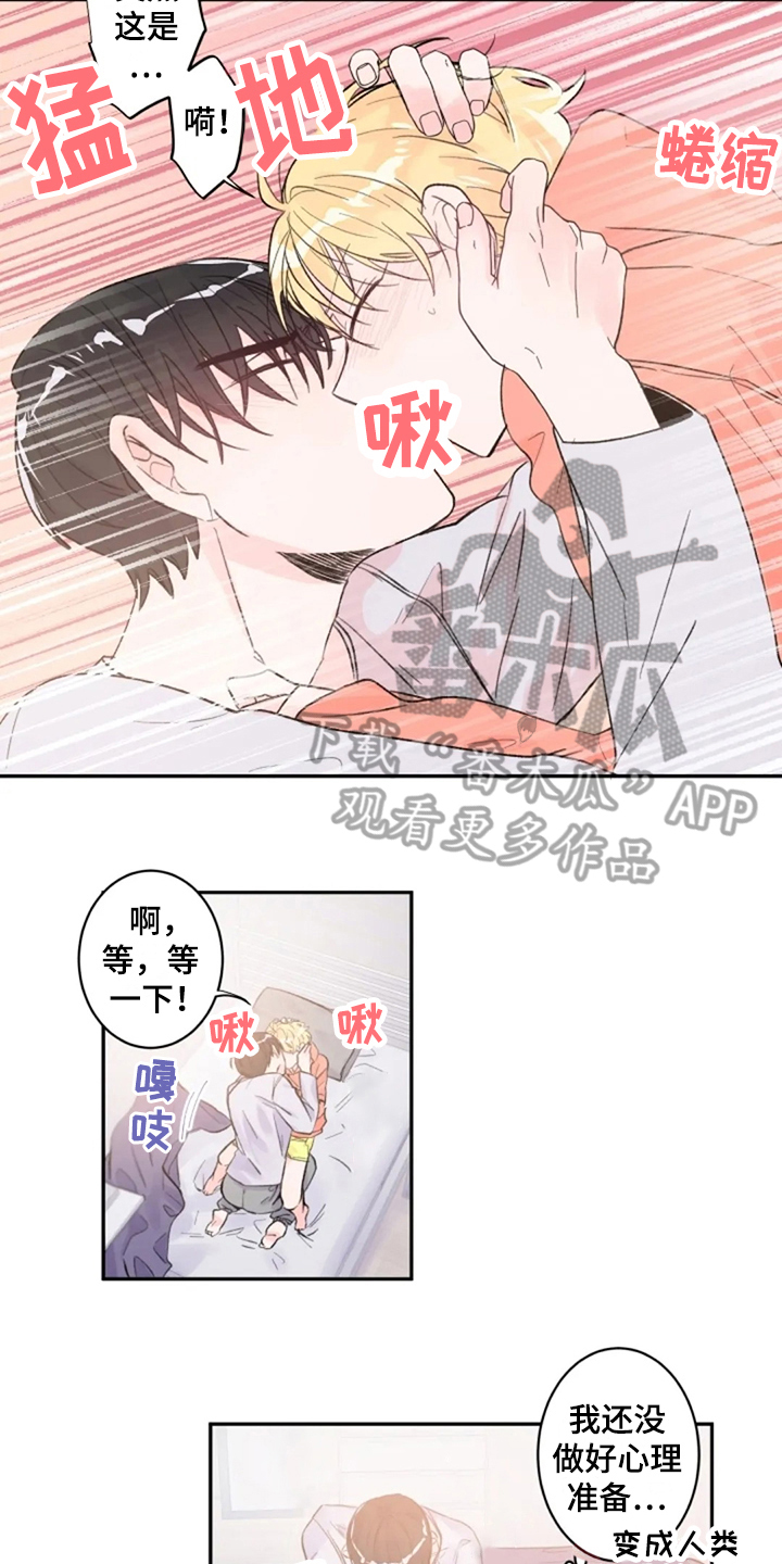 等待夜晚漫画,第11章：实感3图