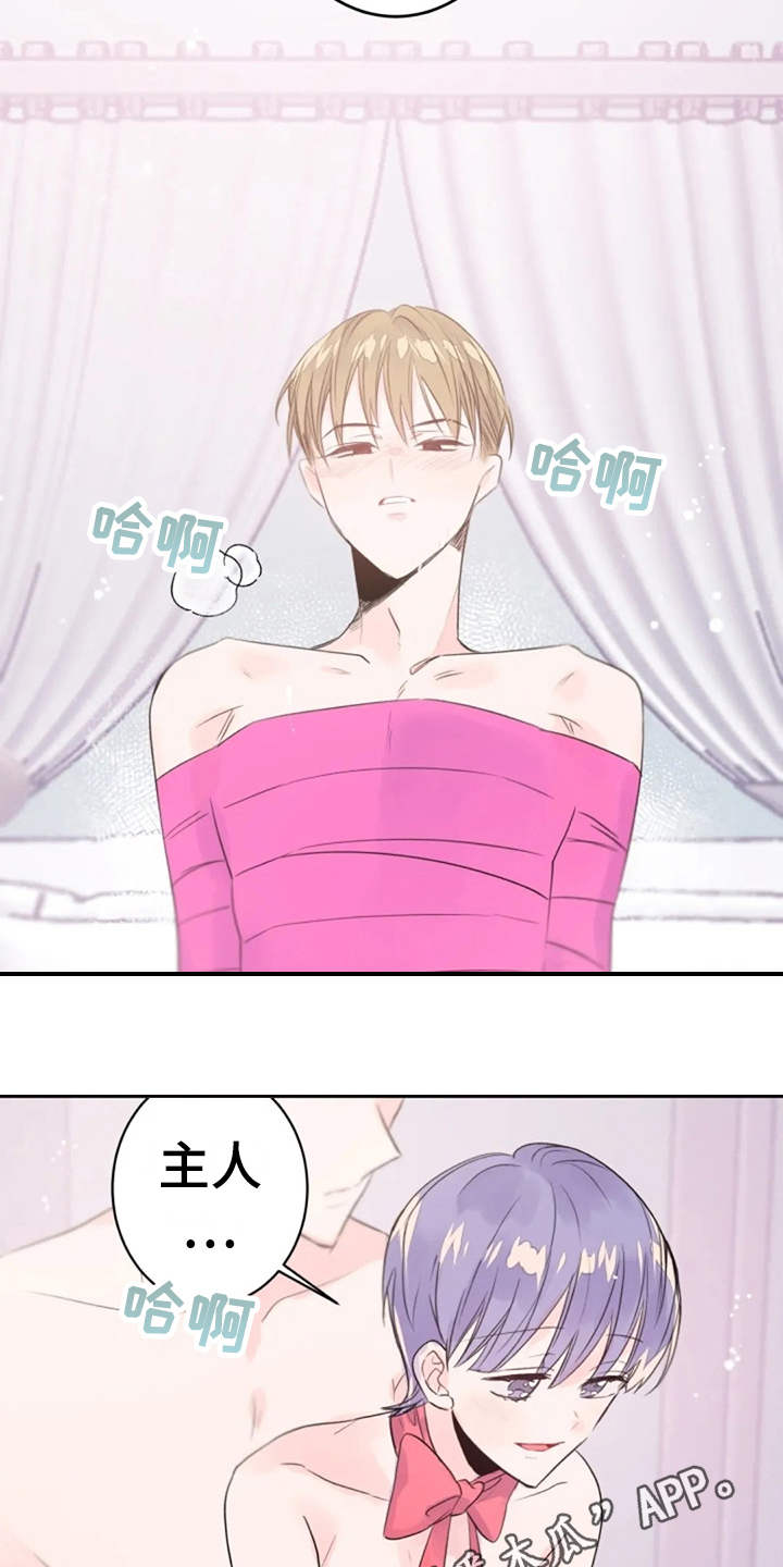 等待夜晚漫画,第25章：期待5图