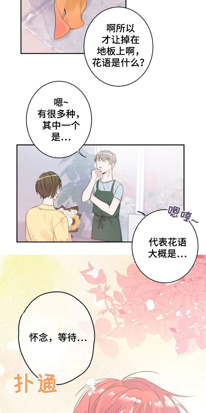 等待夜晚漫画,第45章：花语3图