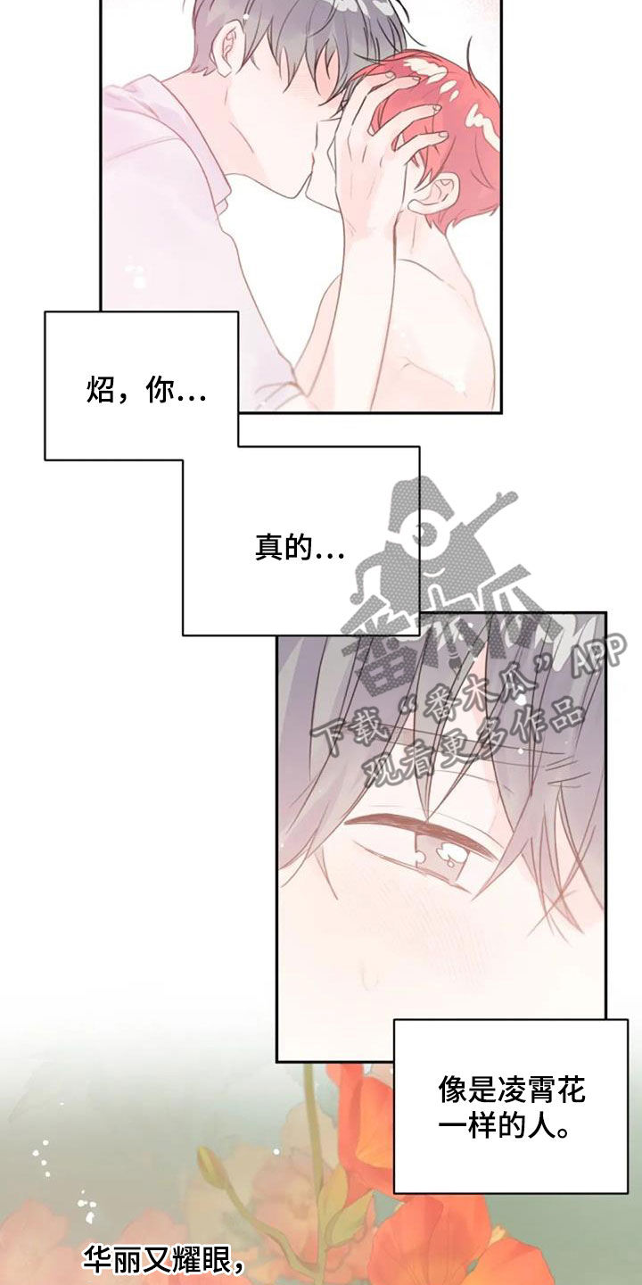 等待夜晚漫画,第47章：替代1图