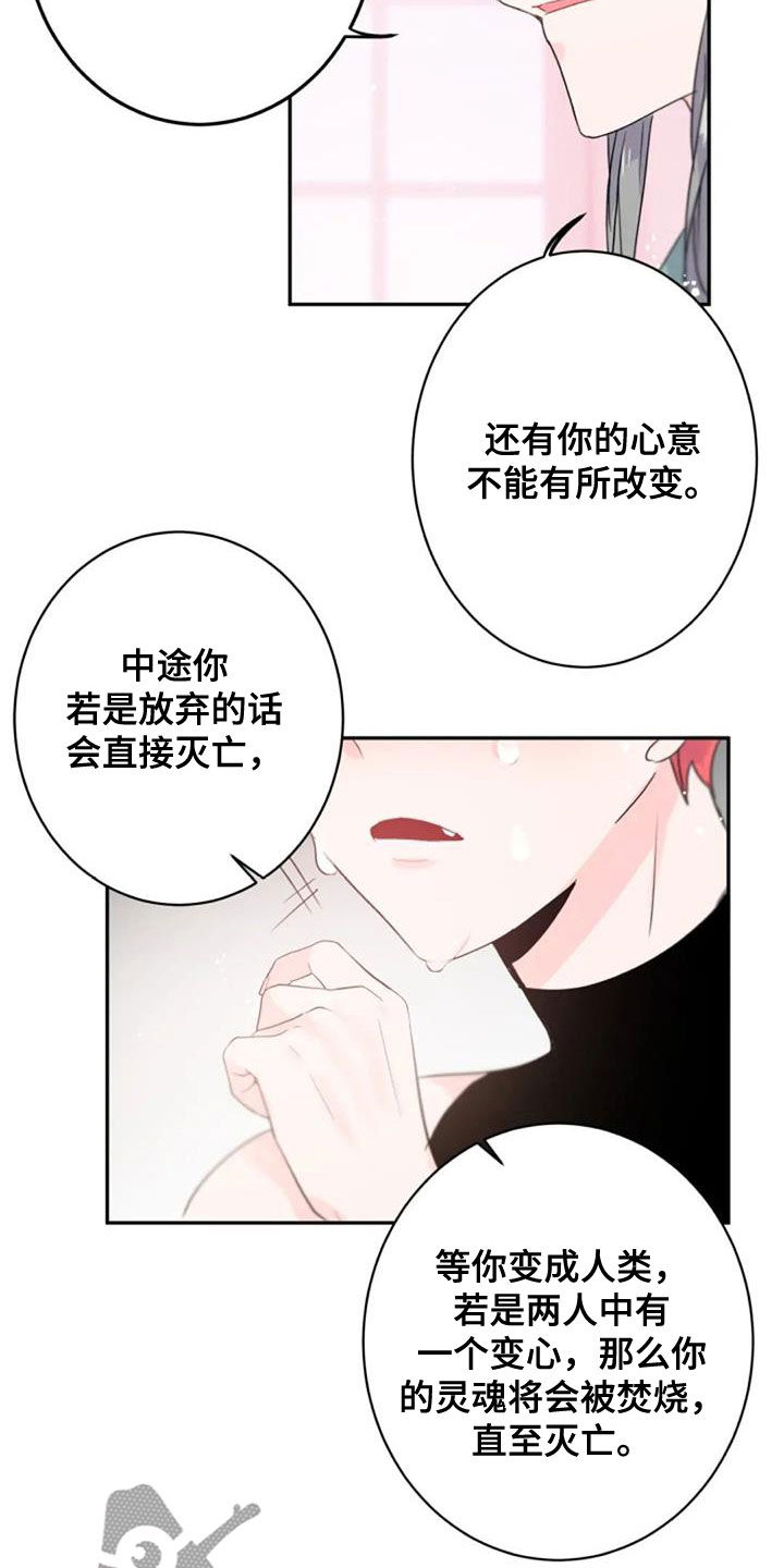 等待夜晚漫画,第56章：度过100天3图