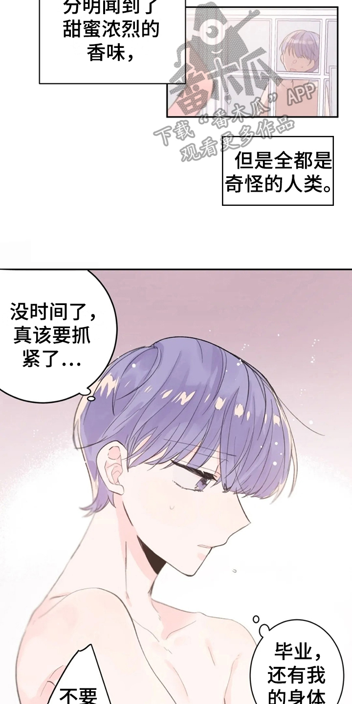 等待夜晚漫画,第17章：猎物5图
