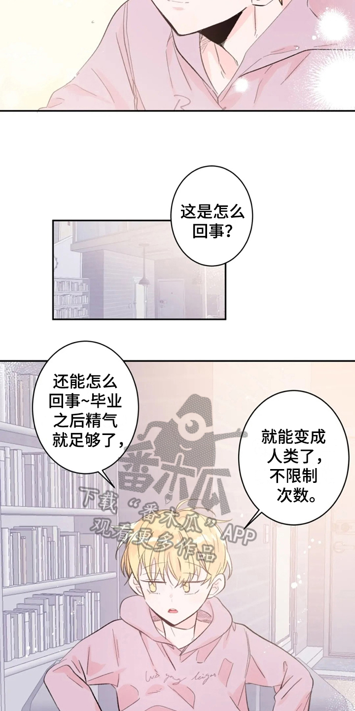 等待夜晚漫画,第14章：回来了3图