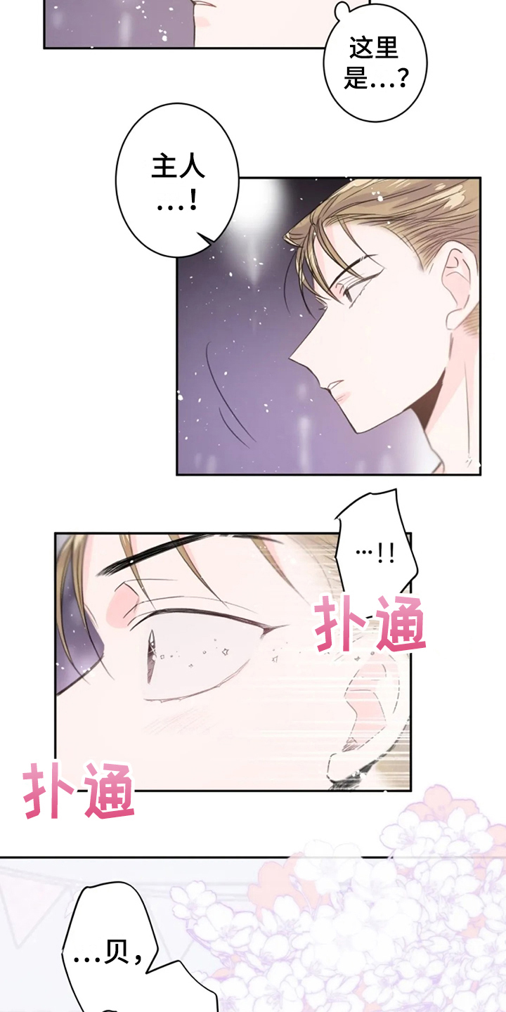 等待夜晚漫画,第22章：寻找3图