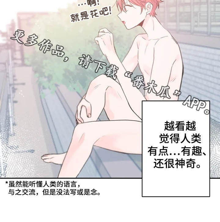 等待夜晚漫画,第35章：一定要毕业4图