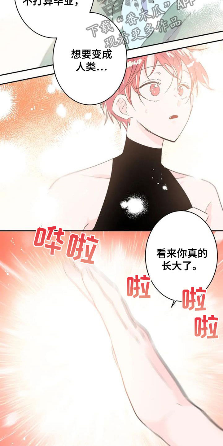 等待夜晚漫画,第56章：度过100天2图
