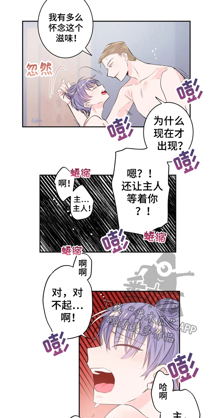 等待夜晚漫画,第21章：顺从4图