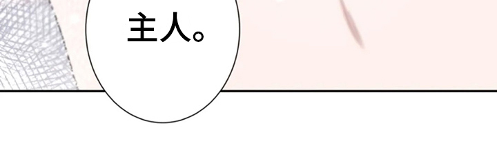 等待夜晚漫画,第27章：集中4图