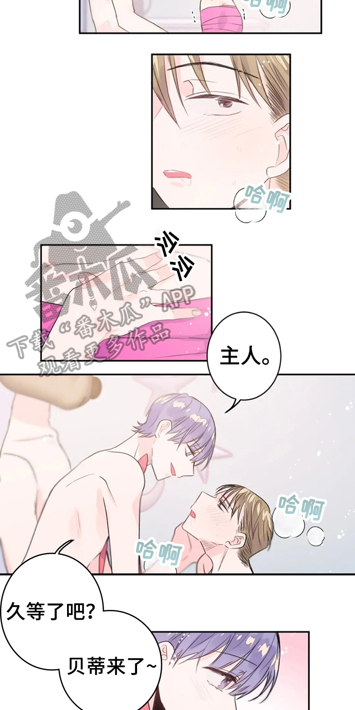 等待夜晚漫画,第25章：期待1图