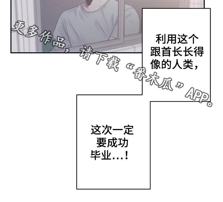 等待夜晚漫画,第36章：长得像的人5图