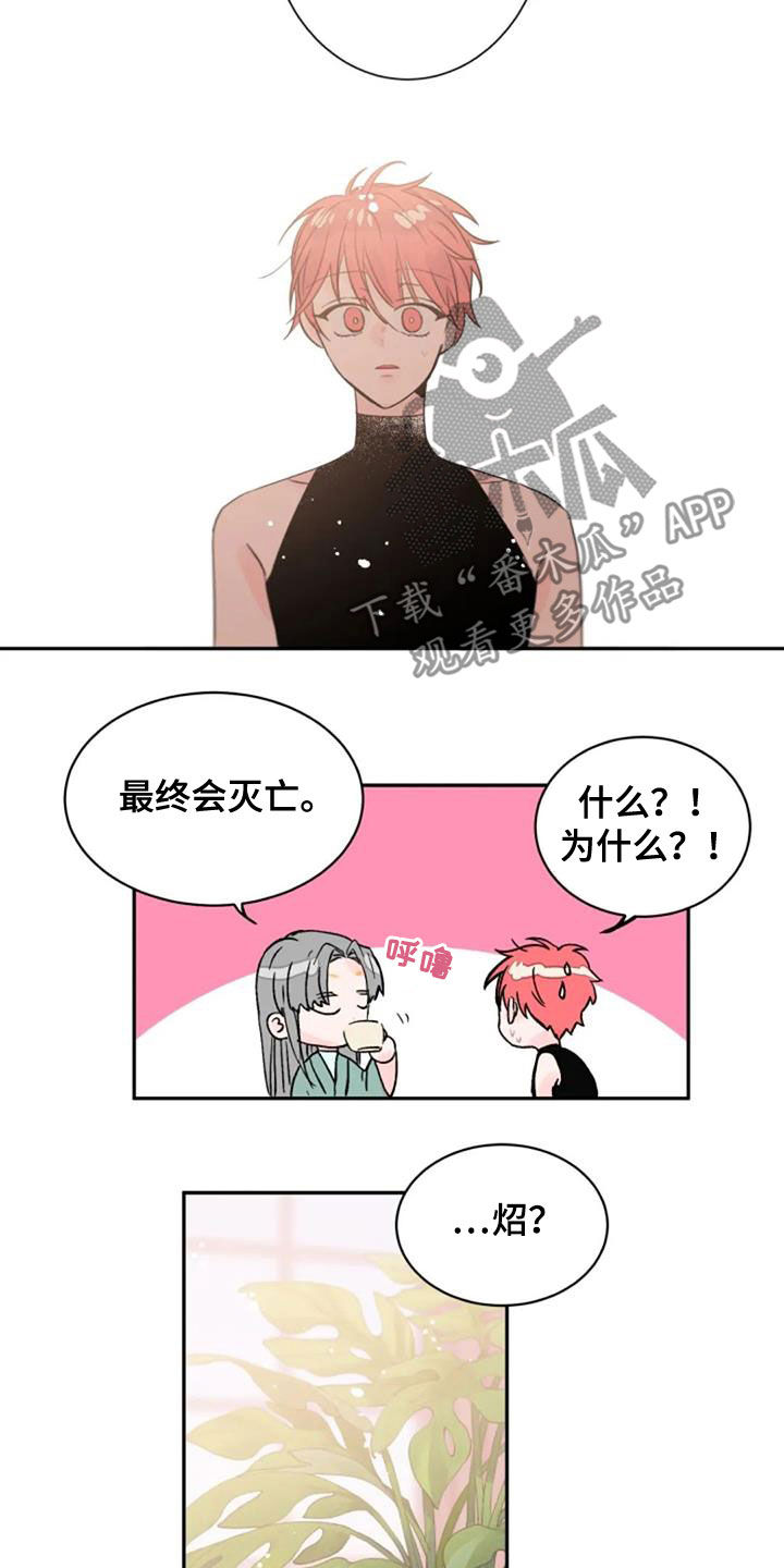等待夜晚漫画,第55章：是爱吗4图