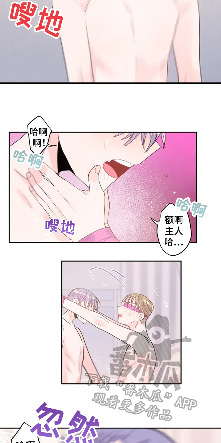 等待夜晚漫画,第28章：还不够5图