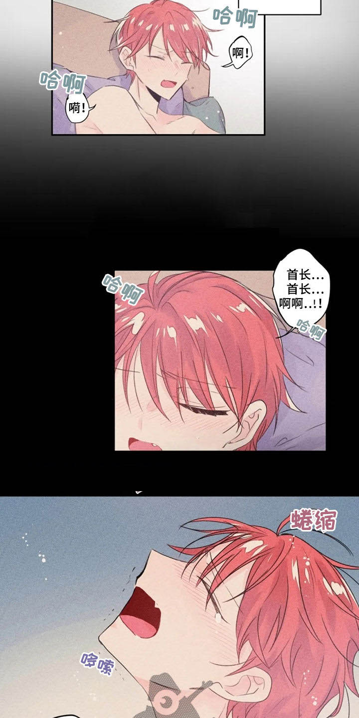 等待夜晚漫画,第36章：长得像的人5图