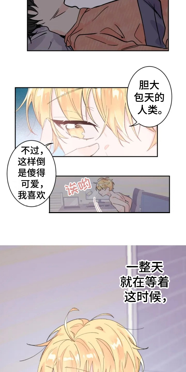 等待夜晚漫画,第3章：礼物3图