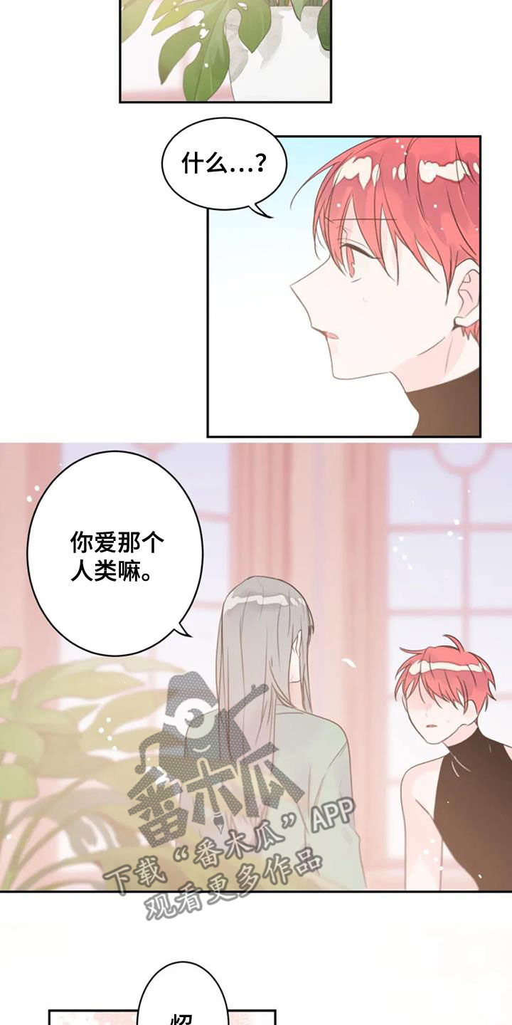 等待夜晚漫画,第55章：是爱吗5图
