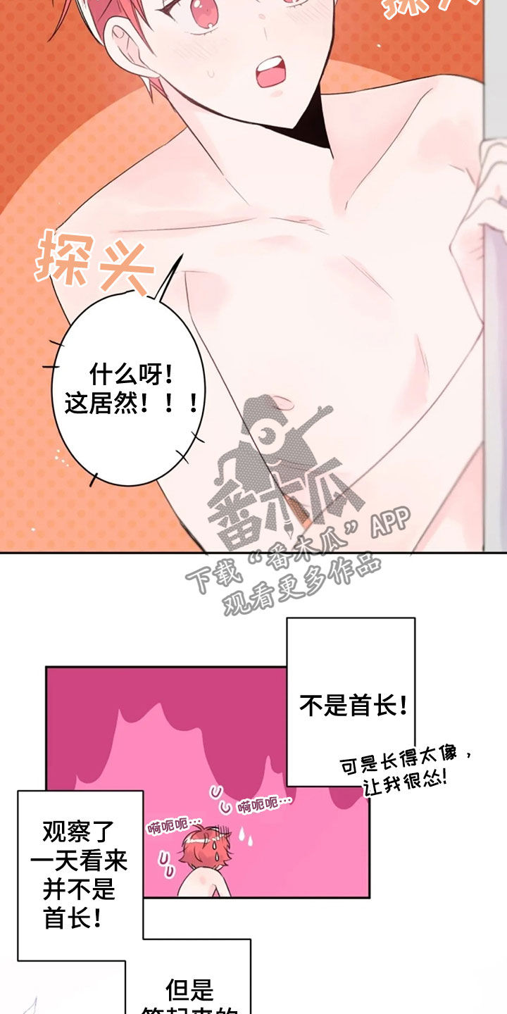 等待夜晚漫画,第36章：长得像的人1图