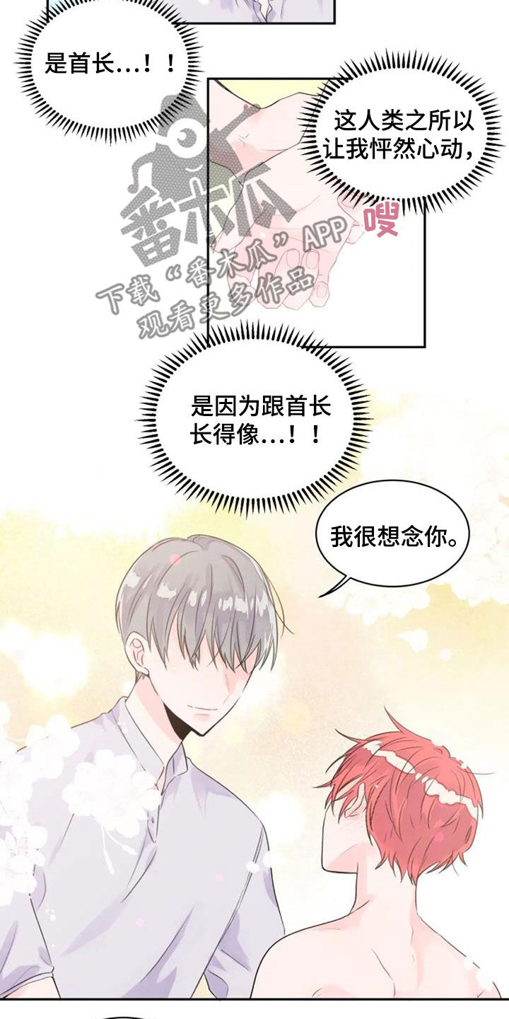 等待夜晚漫画,第46章：怀抱4图