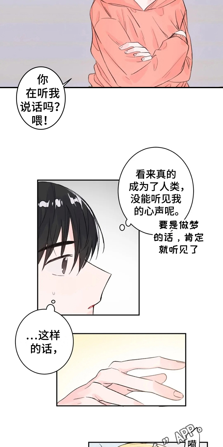 等待夜晚漫画,第10章：惊讶3图