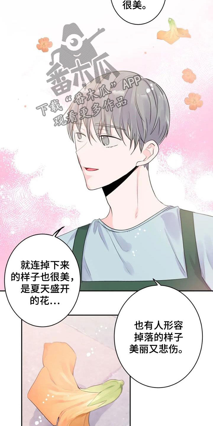 等待夜晚漫画,第45章：花语2图