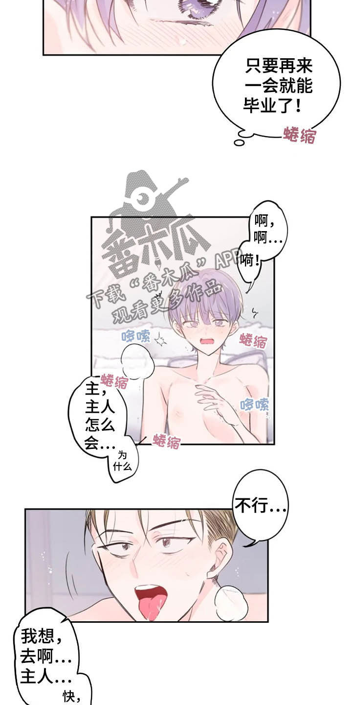 等待夜晚漫画,第33章：领悟1图