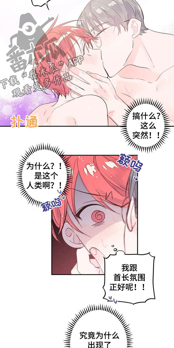 等待夜晚漫画,第45章：花语4图