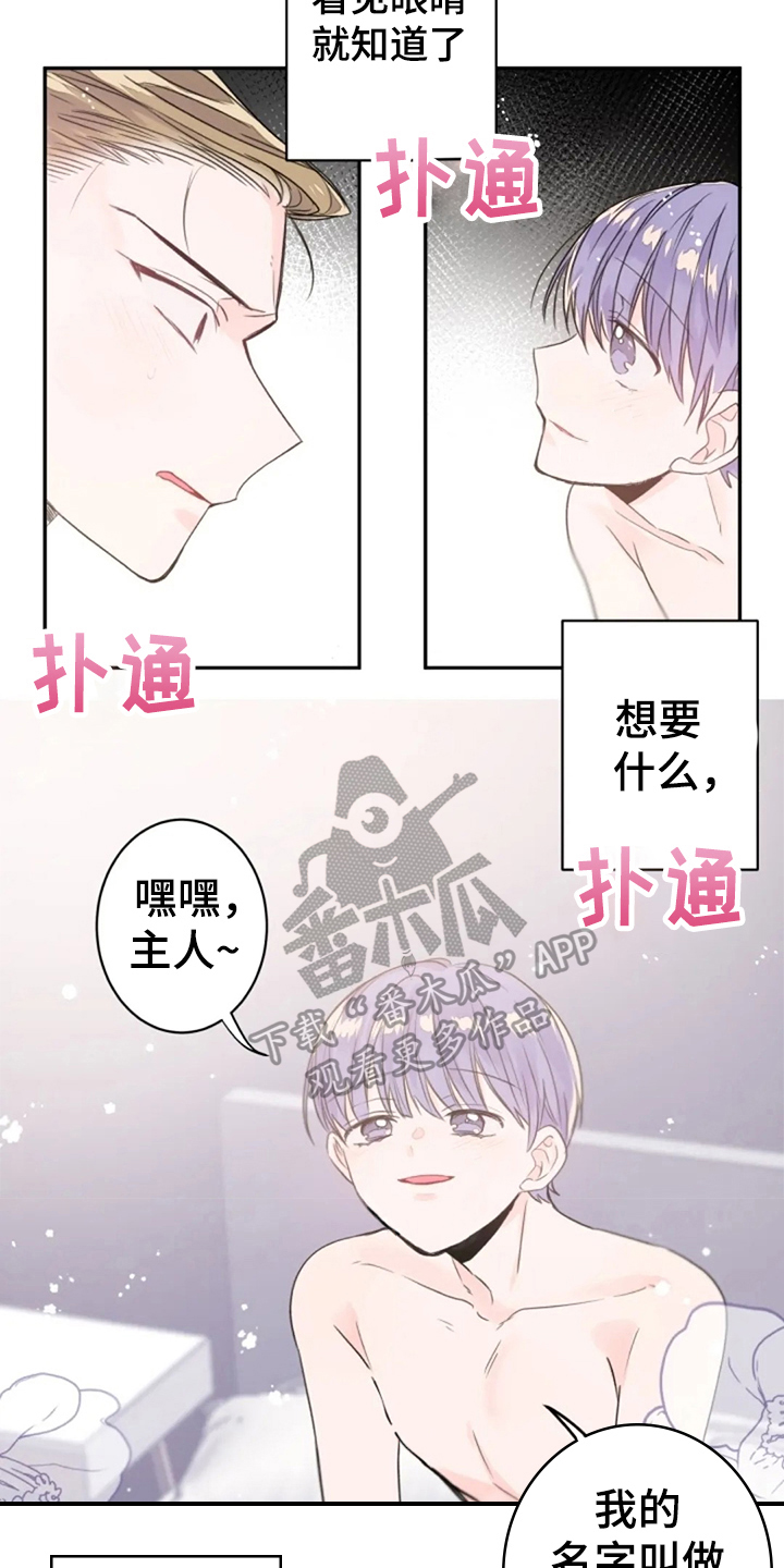 等待夜晚漫画,第20章：名字5图
