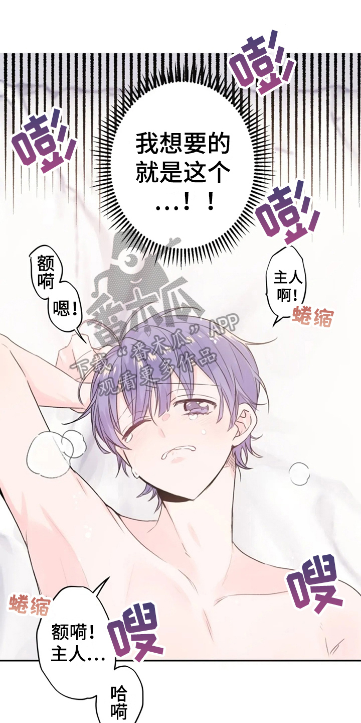 等待夜晚漫画,第22章：寻找1图