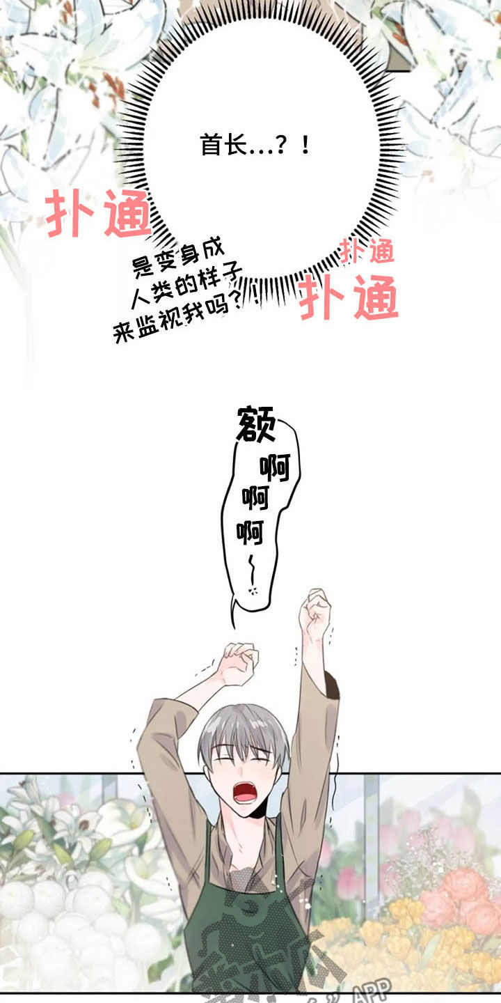 等待夜晚漫画,第36章：长得像的人3图