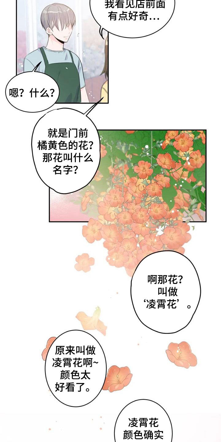 等待夜晚漫画,第45章：花语1图