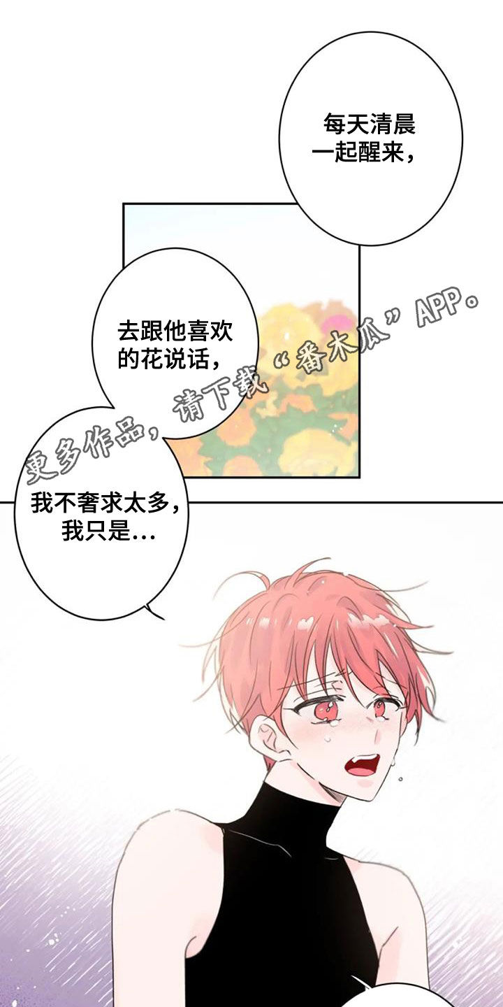 等待夜晚漫画,第56章：度过100天1图