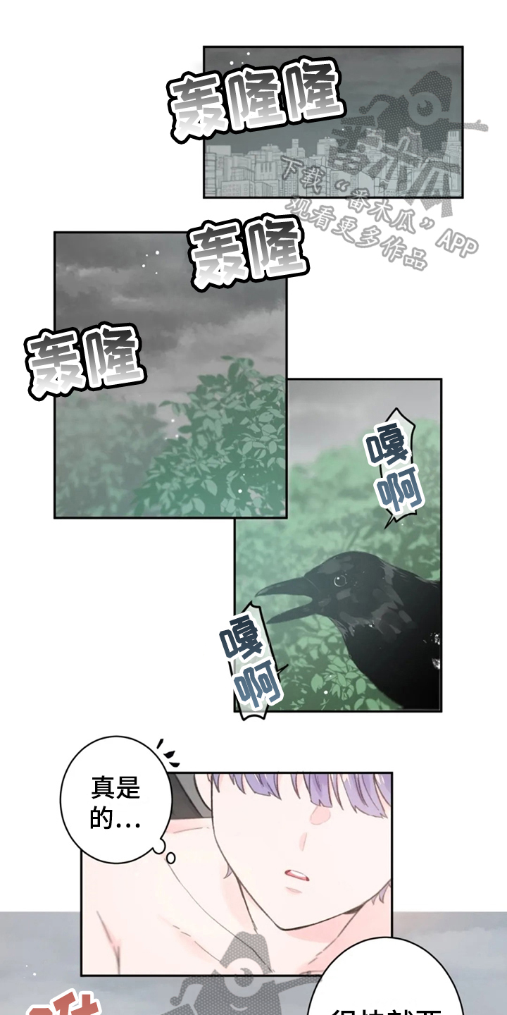 等待夜晚漫画,第17章：猎物1图