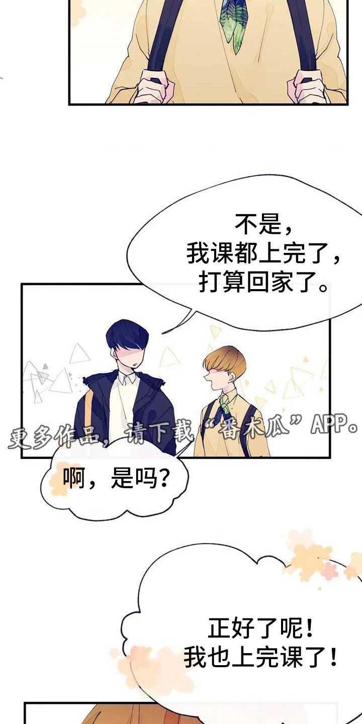 结婚学概论漫画,第7章：询问5图