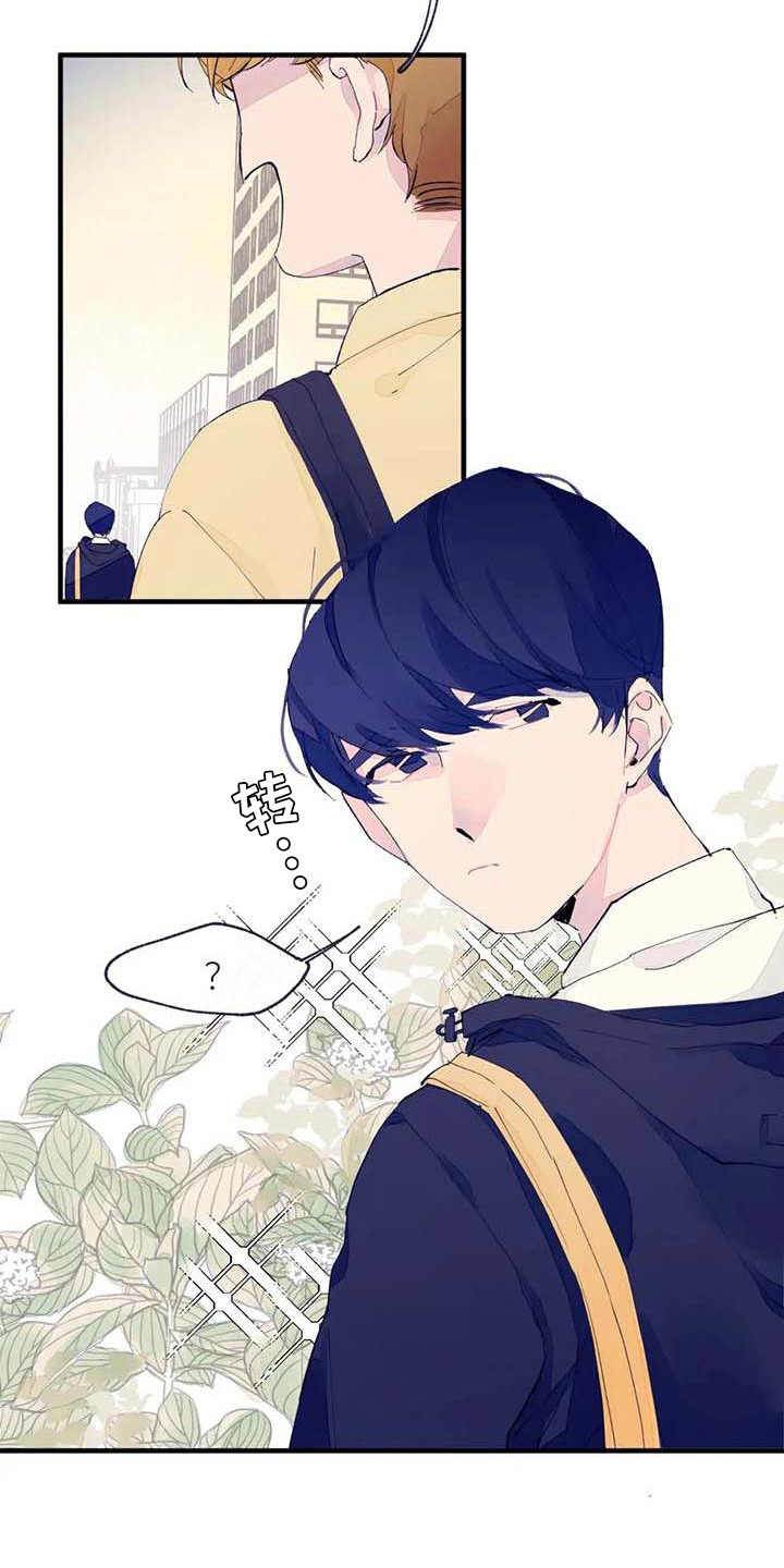 结婚学概论漫画,第7章：询问3图