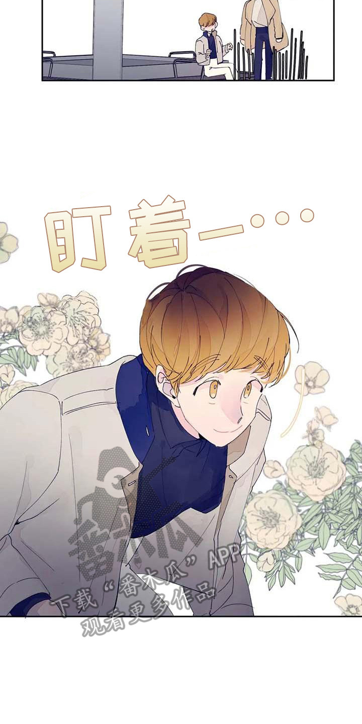 结婚学概论漫画,第25章：很合适（完结）2图