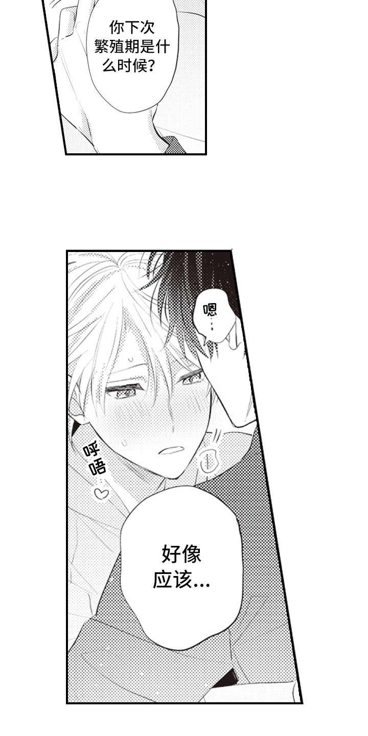 郑伊健张柏芝野兽式爱情理论漫画,第27章：养你一辈子3图