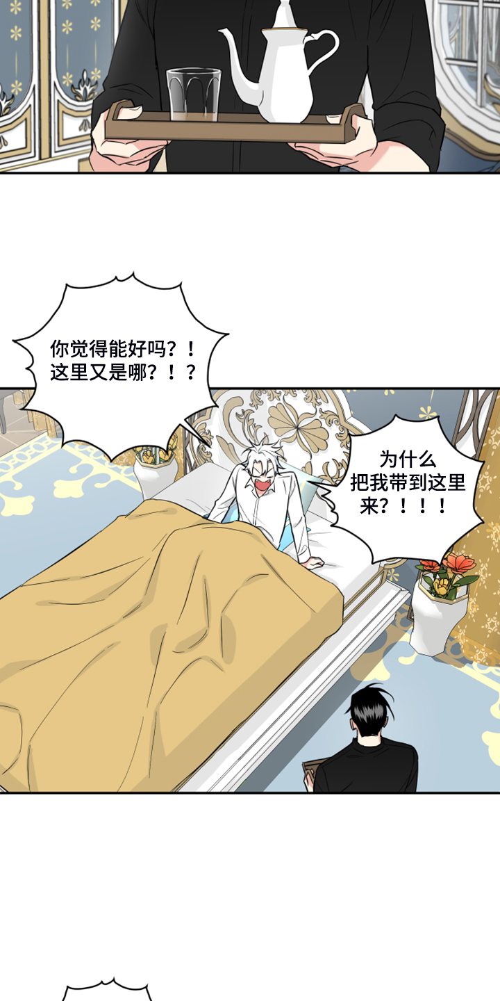 面瘫英雄漫画,第127章：【番外】什么感情？5图