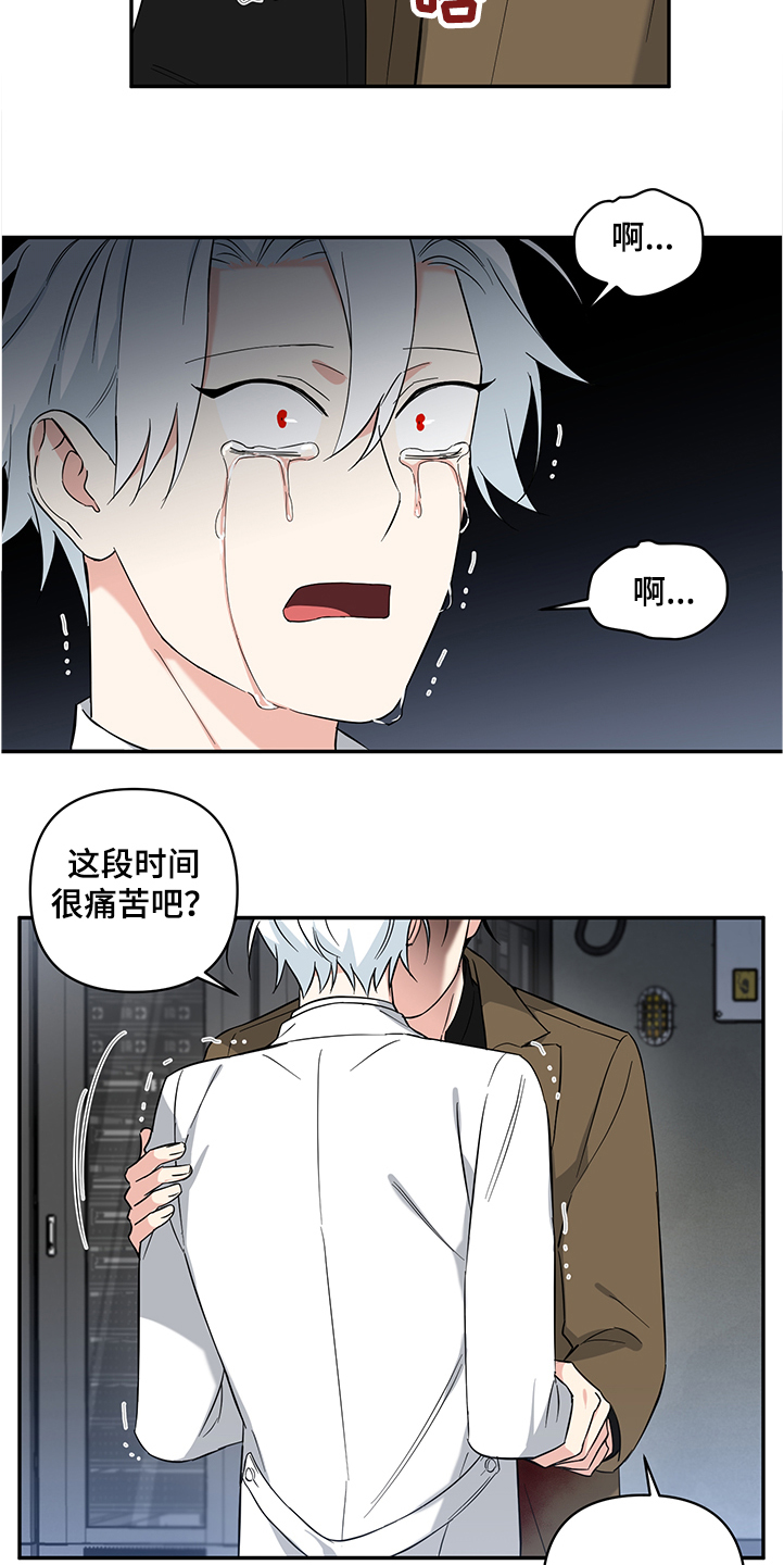 面瘫视频漫画,第106章：【后记】伤害试验2图