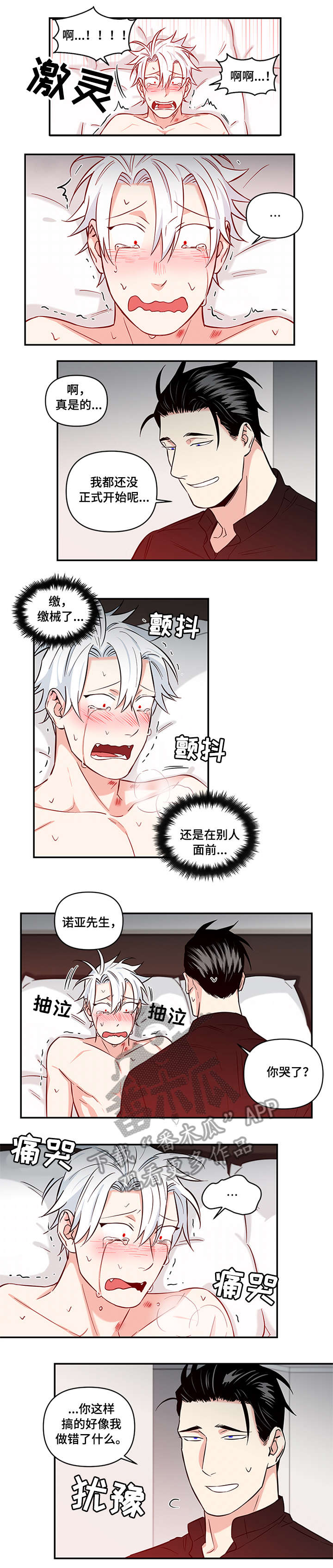 第12章：刚开始3