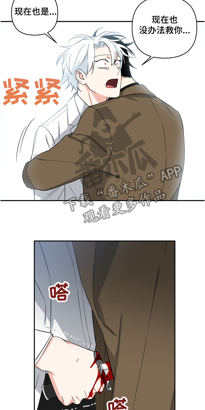 面瘫视频漫画,第106章：【后记】伤害试验1图