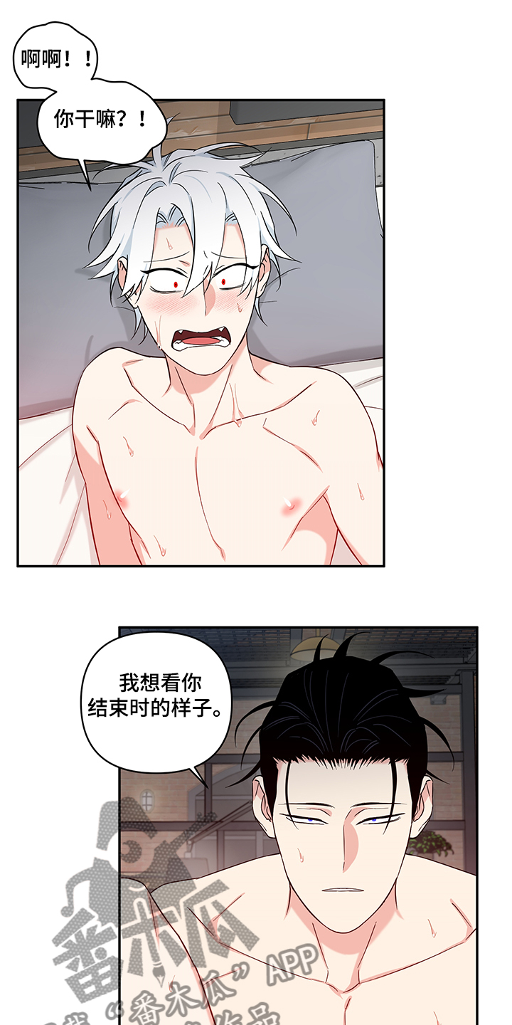 第111章：【后记】一定会幸福1