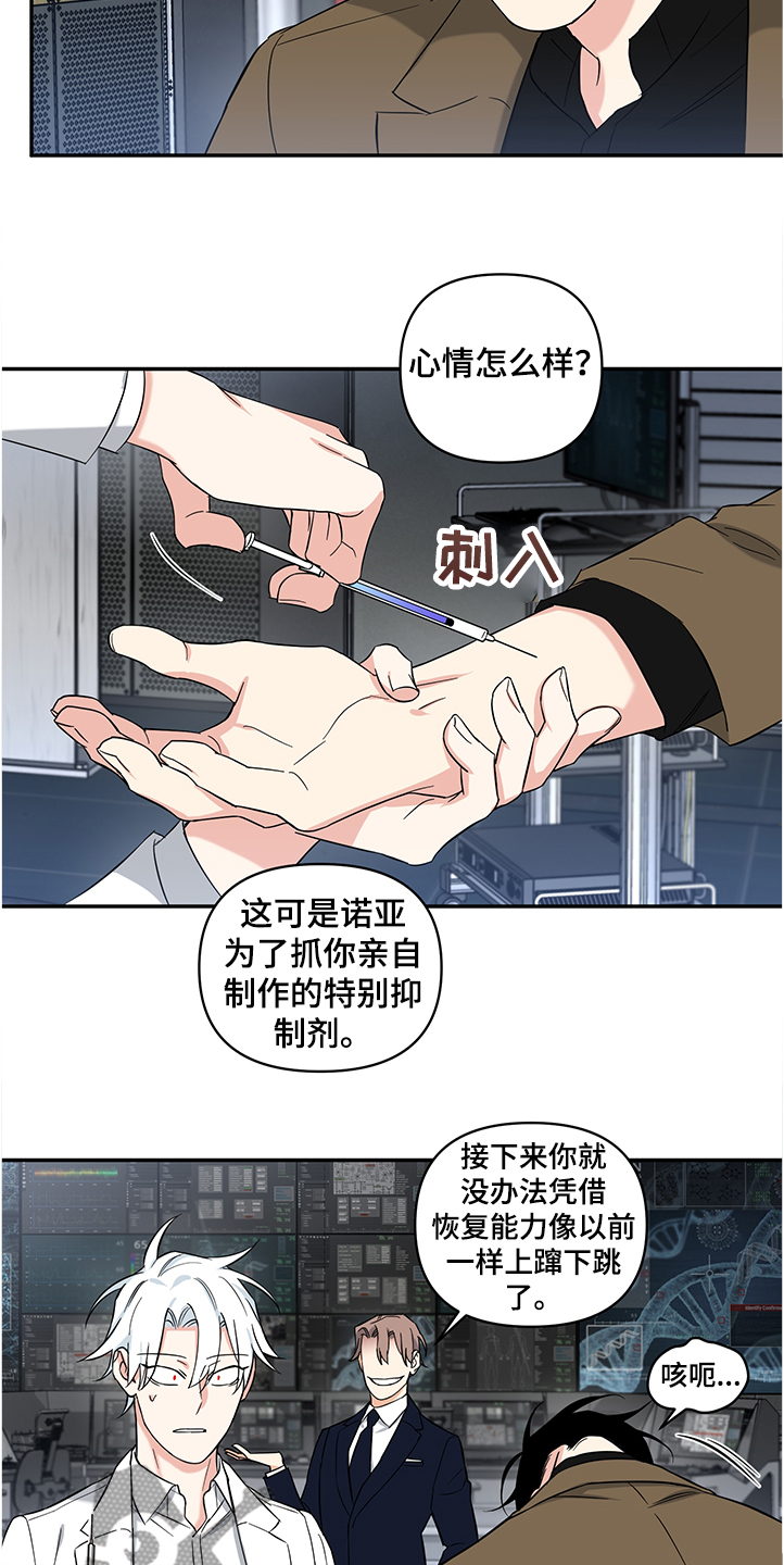 面瘫视频漫画,第106章：【后记】伤害试验3图