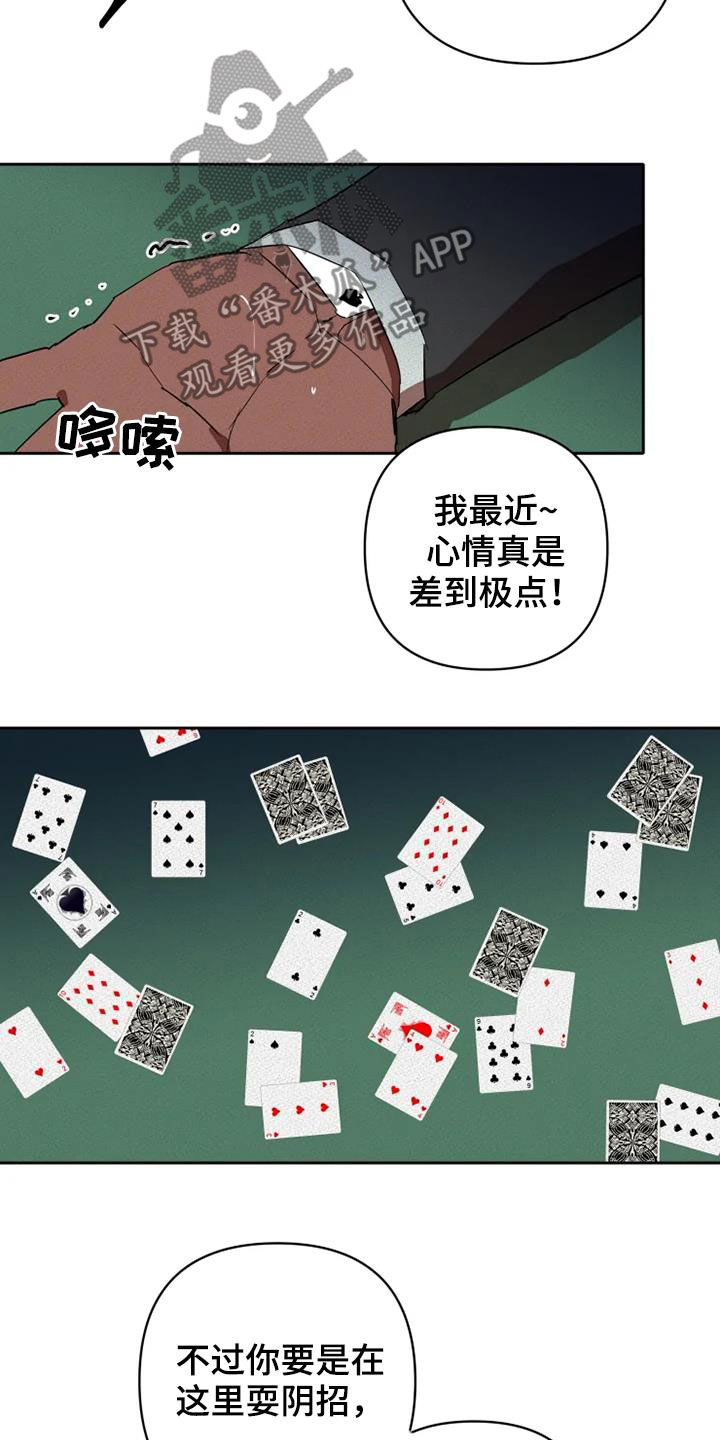 甜蜜杀戮漫画,第35章：赌命5图
