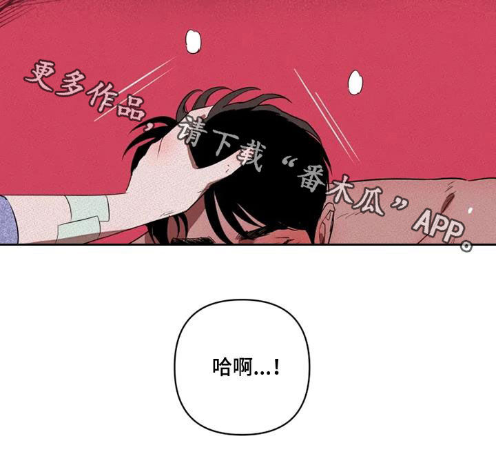 甜蜜杀戮漫画,第31章：我想了解你1图