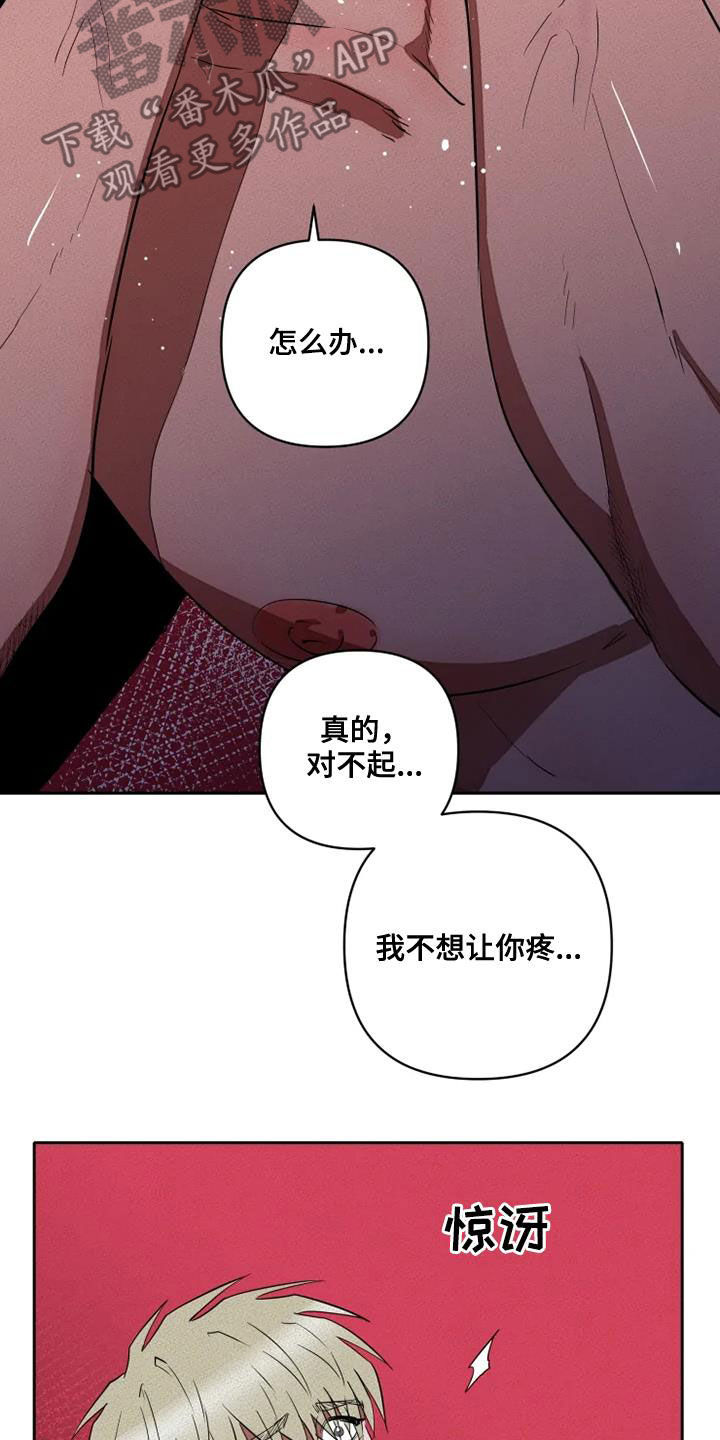 甜蜜杀戮漫画,第32章：别再说对不起1图