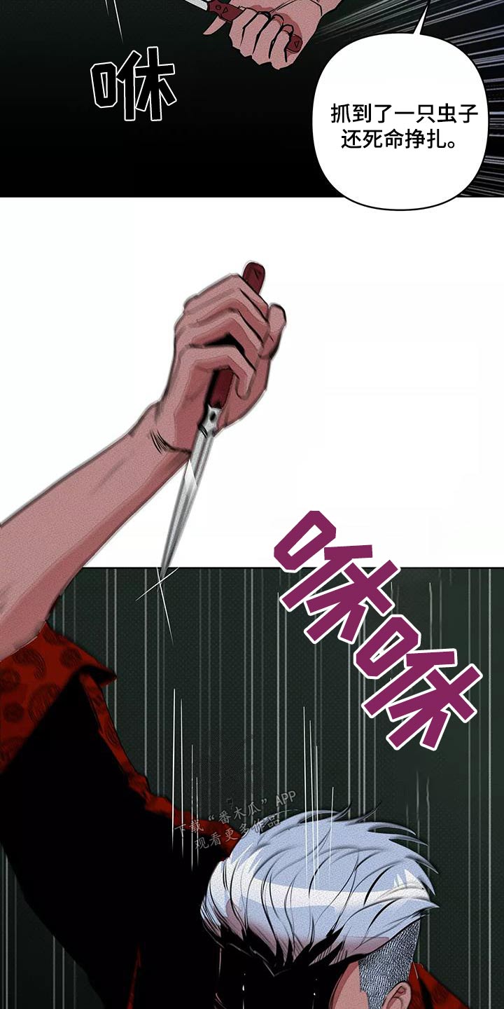 甜蜜杀戮漫画,第57章：出手2图