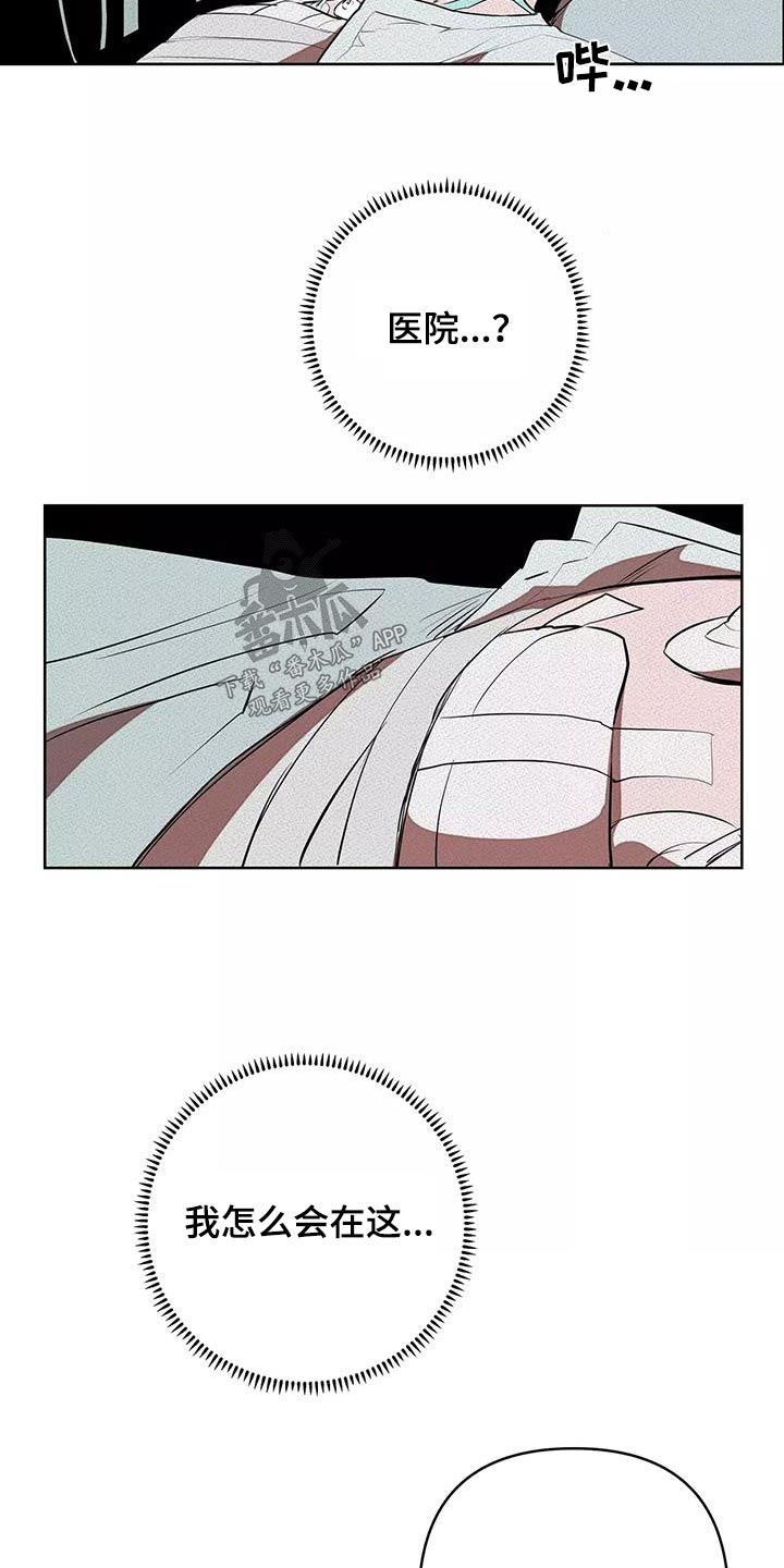 甜蜜杀戮漫画,第59章：危险4图