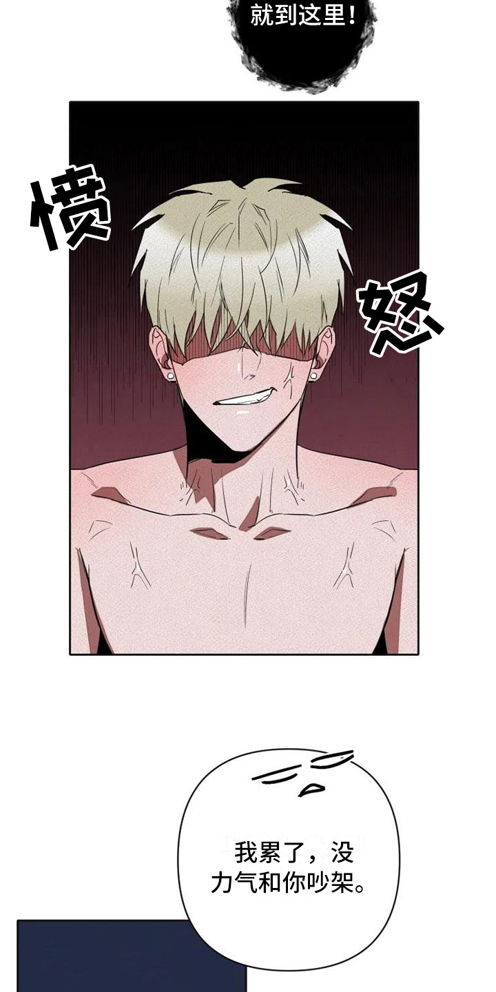甜蜜杀戮漫画,第17章：汇报3图