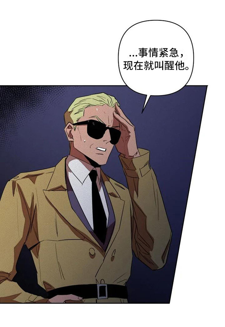 甜蜜杀戮漫画,第1章：杀手3图