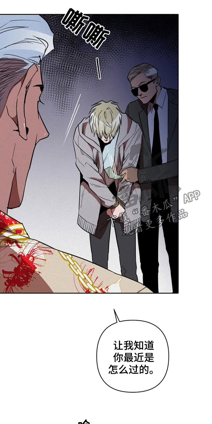 甜蜜杀戮漫画,第21章：愚蠢2图