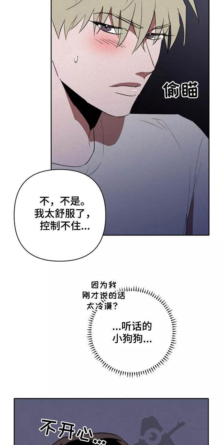 甜蜜杀戮漫画,第41章：越来越喜欢1图